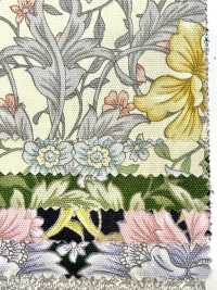 AP55808-DR Essential Grace 2 Oxford(Half-fold)[Textile / Fabric] COSMO TEXTILE Sub Photo