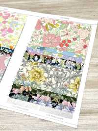 AP55808-DR Essential Grace 2 Oxford(Half-fold)[Textile / Fabric] COSMO TEXTILE Sub Photo