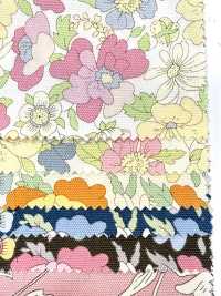 AP55808-DR Essential Grace 2 Oxford(Half-fold)[Textile / Fabric] COSMO TEXTILE Sub Photo