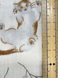 AP55205-DR Pastel Animal Double Gauze (Half Fold)[Textile / Fabric] COSMO TEXTILE Sub Photo