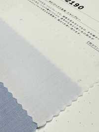 2190 80/2 End On End Tamamushi Chambray[Textile / Fabric] Kuwamura Textile Sub Photo