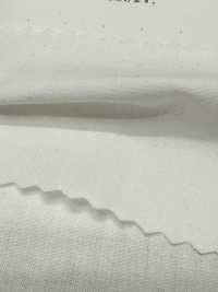 2030 40/1 Linen Down Proof[Textile / Fabric] Kuwamura Textile Sub Photo