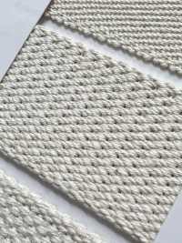 NO5502-11 Burberry Weave Belt Tape[Ribbon Tape Cord] RIVER Sub Photo