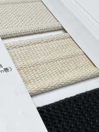 NO5502-24 Belt Tape With Striped Selvedge Woven[Ribbon Tape Cord] RIVER Sub Photo