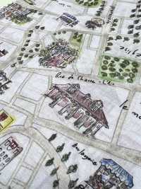 DP-5000-5 60 Lawn Digital Print Map Pattern[Textile / Fabric] HOKKOH Sub Photo