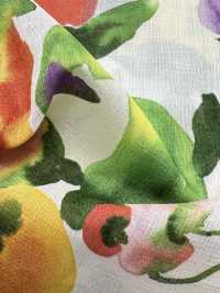 8026-590-2 80 Chiffon Voile Fruits[Textile / Fabric] HOKKOH Sub Photo