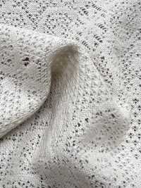 7026-430-1 Lace JQ Geometric[Textile / Fabric] HOKKOH Sub Photo