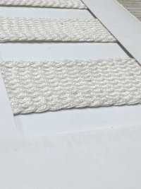 R-02307 Cotton Braid[Ribbon Tape Cord] RIVER Sub Photo