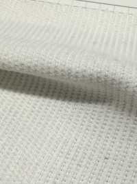 SEL178 14W Selvedge (Red Edge) Summer Corduroy Bleached[Textile / Fabric] Kumoi Beauty Sub Photo