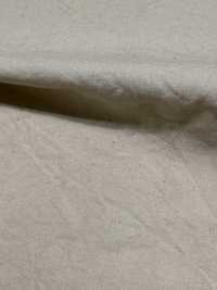 OJE253383 Cotton Broadcloth Wash Finish[Textile / Fabric] Oharayaseni Sub Photo