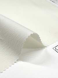 11554 REN 50 Single Thread Cotton/Nylon Weather Cloth Stretch[Textile / Fabric] SUNWELL Sub Photo