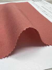 KKC484-W T/Ry Broadcloth[Textile / Fabric] Uni Textile(Komon Studio) Sub Photo