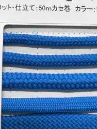 2AY Flexy 4.2mm[Ribbon Tape Cord] Cordon Sub Photo