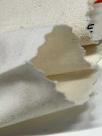 綿シーチング-55.5 Cotton Loomstate 55.5 Meters Roll Maruhachi Sub Photo