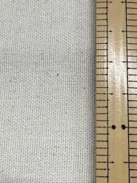 A-8186 Oxford Gauze[Textile / Fabric] ARINOBE Sub Photo