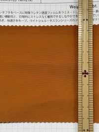 SBWN904 Light Shell, Weatherproof Taffeta[Textile / Fabric] SHIBAYA Sub Photo