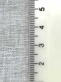 800 800[Interlining] No Name Sub Photo