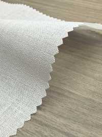 PH5500N PH5500N[Interlining] No Name Sub Photo