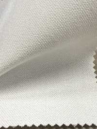 5510P Polyester Hard Type Dot Core[Interlining] No Name Sub Photo