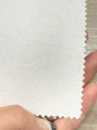 5510P Polyester Hard Type Dot Core[Interlining] No Name Sub Photo