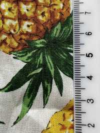 4247 Broadcloth Stylish Relax PINEAPPLE[Textile / Fabric] VANCET Sub Photo