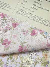 83077 60 Lawn Unbleached Cotton Nostalgia Collection Mignon[Textile / Fabric] VANCET Sub Photo