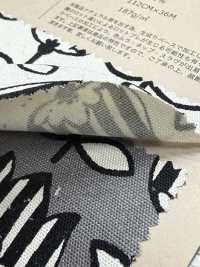 850549 Unbleached Oxford Cotton Tulipop[Textile / Fabric] VANCET Sub Photo