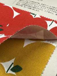 850551 Unbleached Oxford Cotton Apple Dots[Textile / Fabric] VANCET Sub Photo