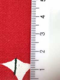 850551 Unbleached Oxford Cotton Apple Dots[Textile / Fabric] VANCET Sub Photo