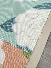 850553 Unbleached Oxford Cotton Cauliflower[Textile / Fabric] VANCET Sub Photo