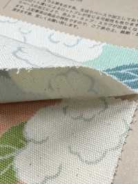 850553 Unbleached Oxford Cotton Cauliflower[Textile / Fabric] VANCET Sub Photo
