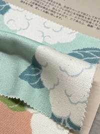 850553 Unbleached Oxford Cotton Cauliflower[Textile / Fabric] VANCET Sub Photo