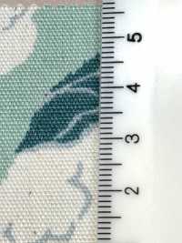 850553 Unbleached Oxford Cotton Cauliflower[Textile / Fabric] VANCET Sub Photo
