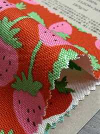 850593 Oxford Strawberry Party Strawberry Field[Textile / Fabric] VANCET Sub Photo