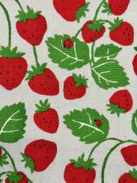 850593 Oxford Strawberry Party Strawberry Field[Textile / Fabric] VANCET Sub Photo