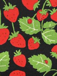850593 Oxford Strawberry Party Strawberry Field[Textile / Fabric] VANCET Sub Photo