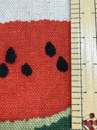 850594 Linen Canvas Watermelon[Textile / Fabric] VANCET Sub Photo