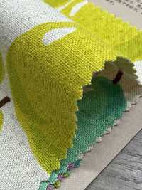 850595 Linen Linen Canvas Pear[Textile / Fabric] VANCET Sub Photo