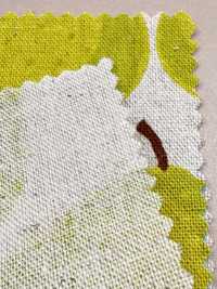 850595 Linen Linen Canvas Pear[Textile / Fabric] VANCET Sub Photo