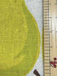 850595 Linen Linen Canvas Pear[Textile / Fabric] VANCET Sub Photo