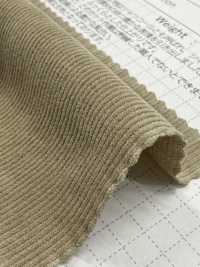 SBC4040 21W Shirt Corduroy Dry Wash Finish[Textile / Fabric] SHIBAYA Sub Photo