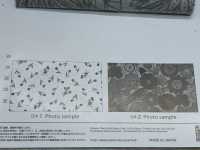 AP61108 Flower Oxford (Round)[Textile / Fabric] COSMO TEXTILE Sub Photo