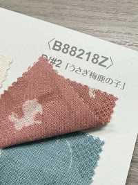 B88218Z Loomstate , Half-fold[Textile / Fabric] VANCET Sub Photo