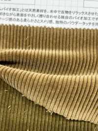 ND7025 Shankar 9W Organic Corduroy Bio-processed[Textile / Fabric] Kumoi Beauty Sub Photo