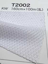 T2002 [Lining] Sub Photo