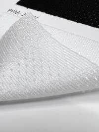 PPM-2 [Lining] Sub Photo