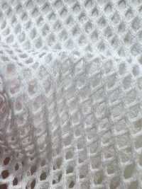 800 [Lining] Sub Photo