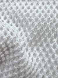 8800 [Lining] Sub Photo