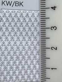 5197 [Lining] Sub Photo