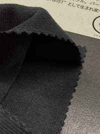 1078650 ALBINI RETWIST 30/1 Circular Rib[Textile / Fabric] TAKISADA NAGOYA Sub Photo